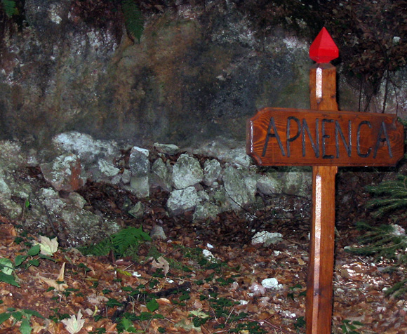 apnenca