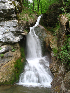 namig-bena